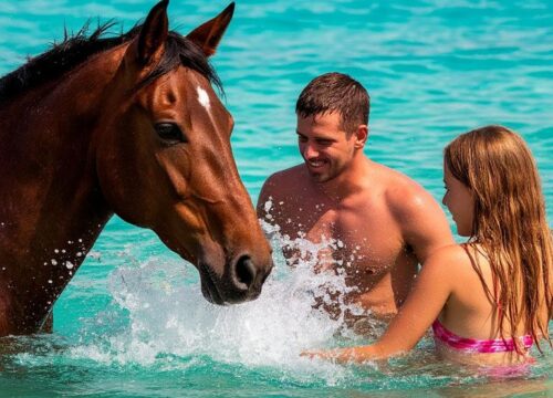 Horse Riding in Hurghada